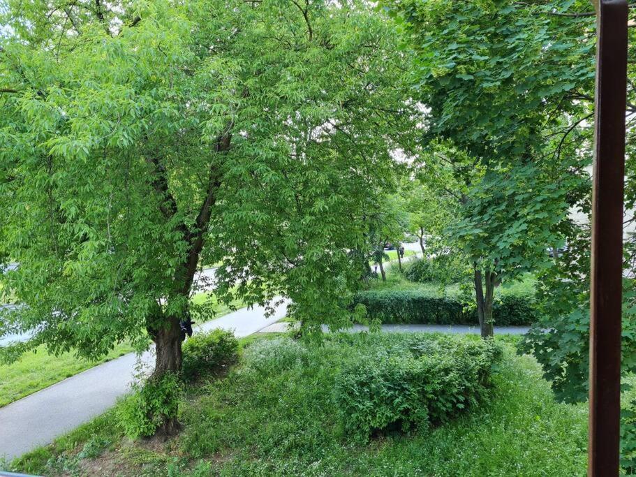 Apartament Kraszewskiego - Retro, Blisko Starowki, Kolo Parku, Ogrod Dla Gosci, Rowery Free Торунь Екстер'єр фото