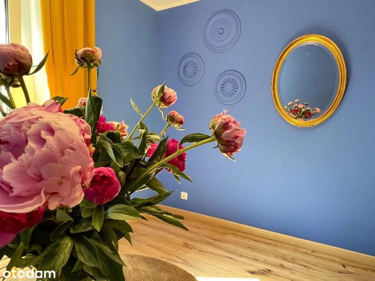 Apartament Kraszewskiego - Retro, Blisko Starowki, Kolo Parku, Ogrod Dla Gosci, Rowery Free Торунь Екстер'єр фото