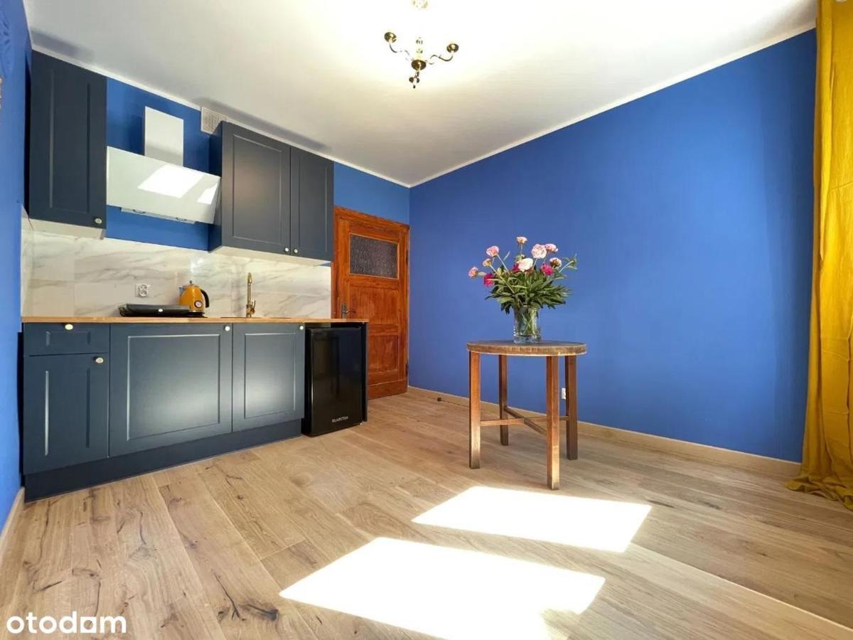 Apartament Kraszewskiego - Retro, Blisko Starowki, Kolo Parku, Ogrod Dla Gosci, Rowery Free Торунь Екстер'єр фото